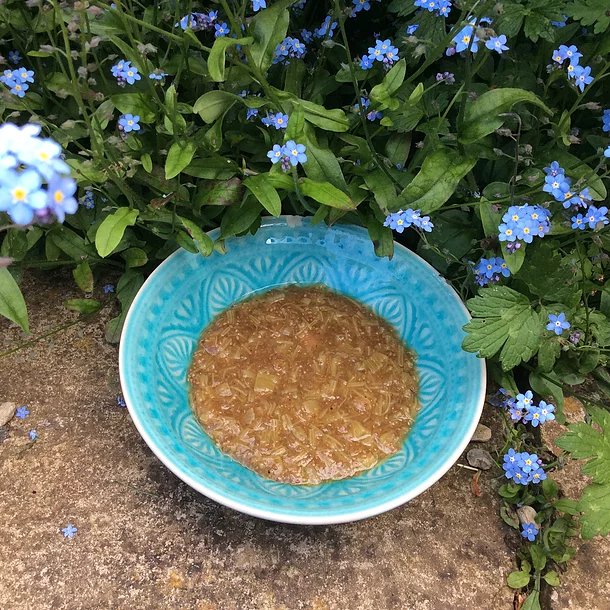 Rhubarb chia pudding