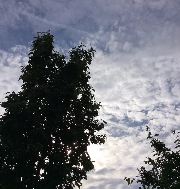 Gentle start to the day